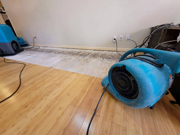 Professional Sewage Cleanup technician working in Mitchell, NE